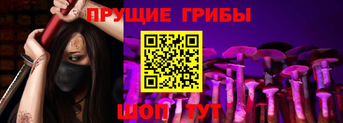 Псилоцибиновые грибы ЛСД  Вход с VPN  Кондопога 